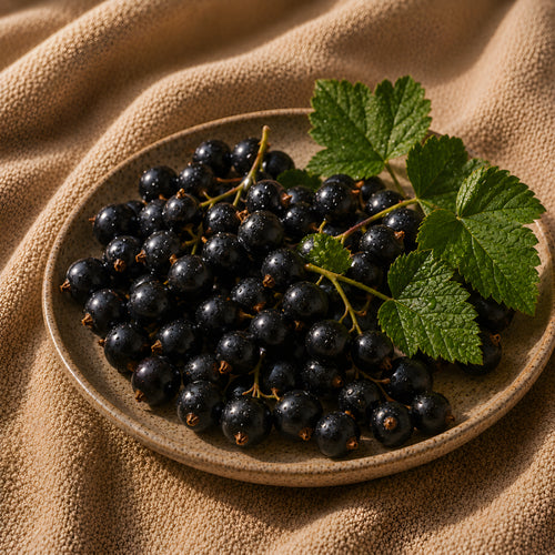 Black Currant