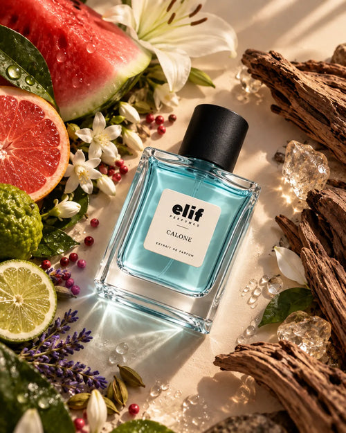 A bottle of Elif Perfumes CALONE Extrait de Parfum with light blue liquid and a black cap, styled with watermelon, grapefruit, lime, lavender, white flowers, and driftwood on a sunlit beige surface.