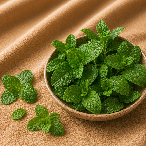 Mint