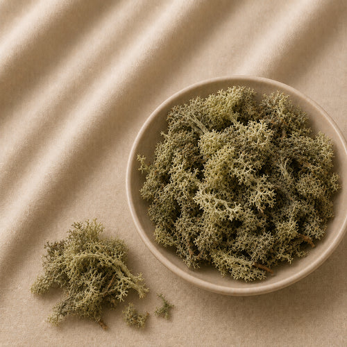Oakmoss