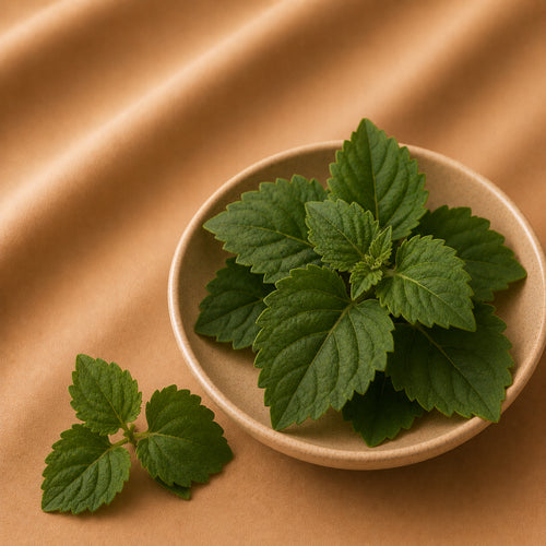Patchouli
